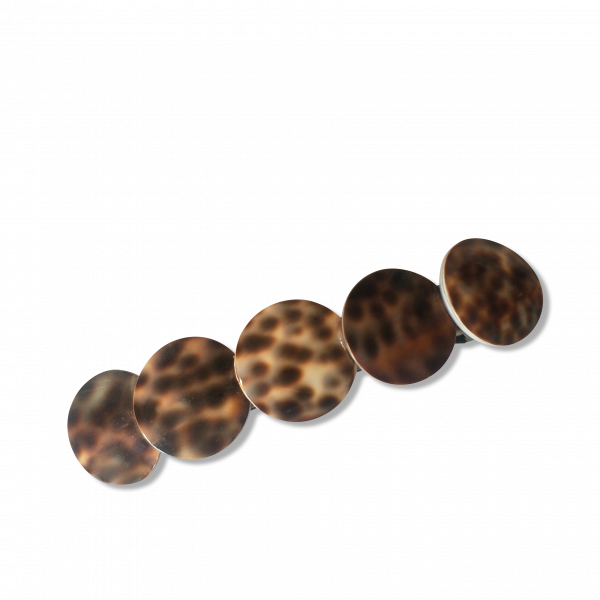 large cowrie shell barrette hair clip