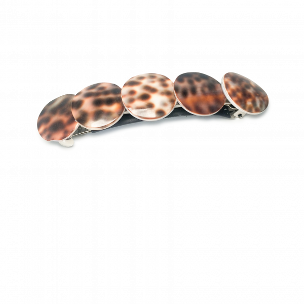 large cowrie shell barrette hair clip