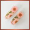 Pink Daisy Botanical Hair Clips